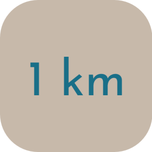 1 km